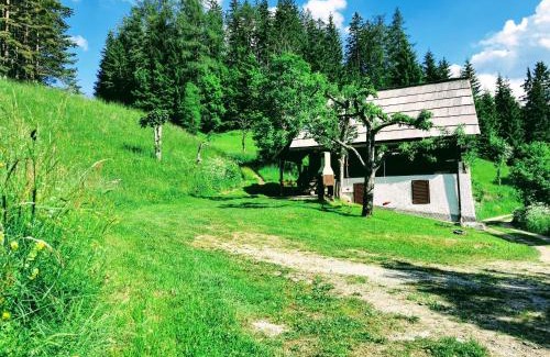 Slovenia House | Natur pur Pikovo