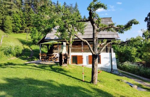 Slovenia House | Natur pur Pikovo