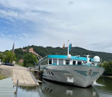 Hirschhorn Apartment | Natur und Neckarblick bei Heidelberg