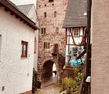Hirschhorn Apartment | Natur und Neckarblick bei Heidelberg