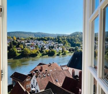 Hirschhorn Apartment | Natur und Neckarblick bei Heidelberg