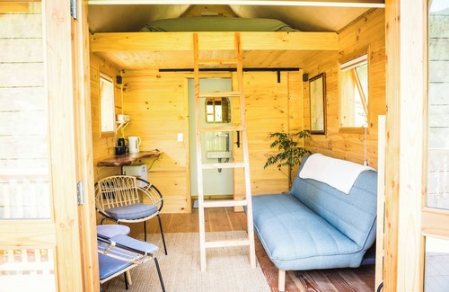 Nelson Region Cabin | Nature based cabins 10mins from Nelson Group friendly 4 cabins & 2 bedroom house