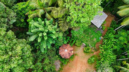 Padinnoruwa House | Nature bliss villa