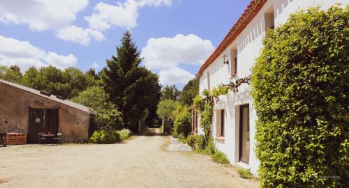 Grand'Landes House | Nature et partage - Jacuzzi - Wifi
