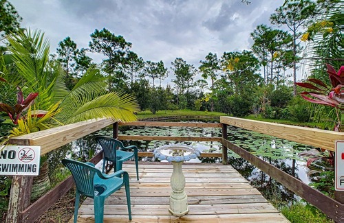 Interchange Square House | Nature Lover's Oasis