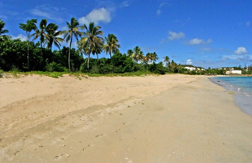 St. John's Cottage | Nature lovers who like walking, fishing, bird watching, BBQing