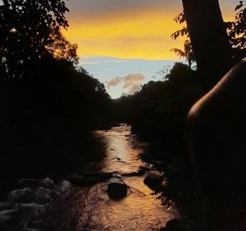 Madikeri Other | Nature river camp