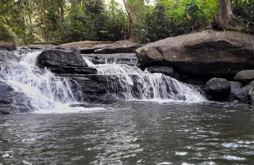 Madikeri Other | Nature river camp
