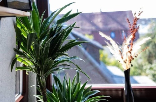 Steinenbronn Apartment | Nature Terminal Apartment - Emma Matratze & Waiputv