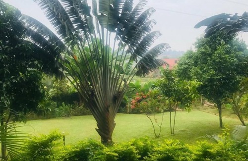 Kampala Bed & Breakfast | Natures Guesthouse