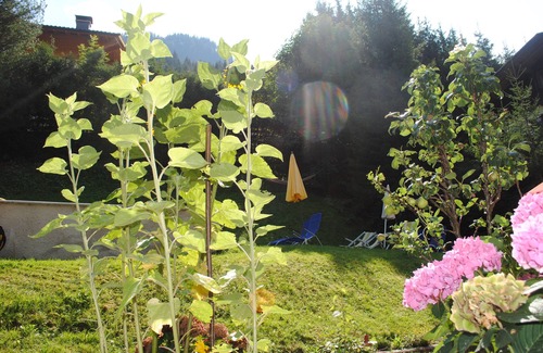 Grossarl Apartment | Naturhaus Andrea Guided mountain hiking experiences, fairy tales, vacation apartments