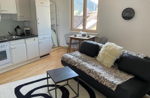 Grosssoelk Apartment | Naturpark Appartment