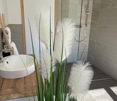Grosssoelk Apartment | Naturpark Appartment