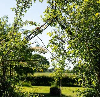Breedenbroek Other | Natuurhuisje De kleine Varenhorst