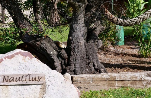 Hyams Beach House | Nautilus at Hyams Beach