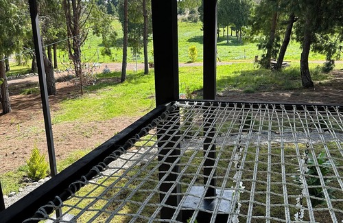 Saraguro House | Nave Espacial en Medio de un Bosque de Pino