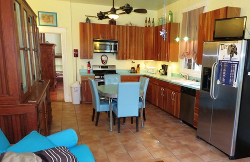 Mid-City Apartment | Near Streetcar Line and shops. Vibrant Neighborhood. Walk to Restaurants & Shops