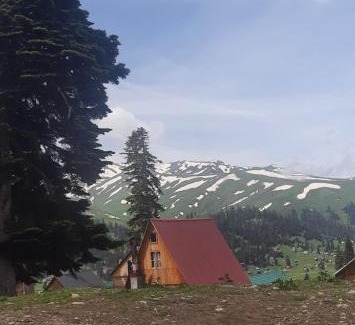 Bakhmaro Ski Chalet | Near the forest