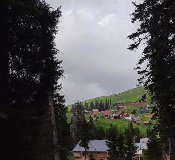 Bakhmaro Ski Chalet | Near the forest