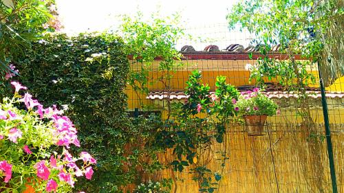 Montiano Apartment | Near the sea flat with terrace in lovely village