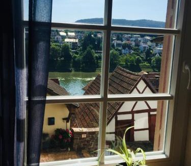Hirschhorn Apartment | Neckarblick,Natur, Altstadt