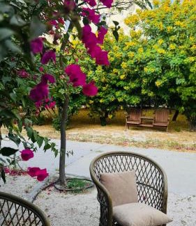 Al Jubail Villa | Neem Luxury Villa