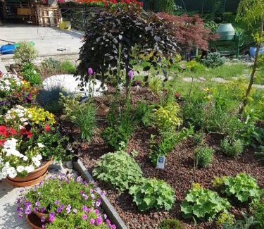 Stresa House | Nel giardino di Dafne