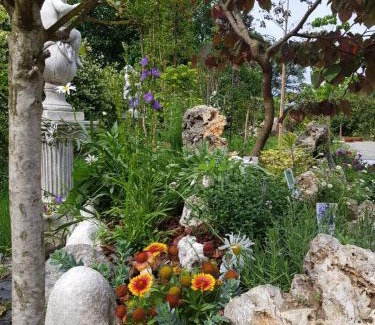 Stresa House | Nel giardino di Dafne
