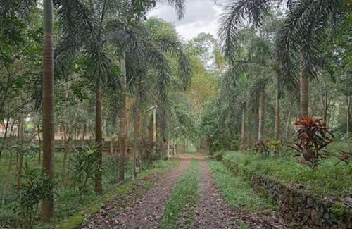 Kedavur House | Nellari Heritage Bungalow