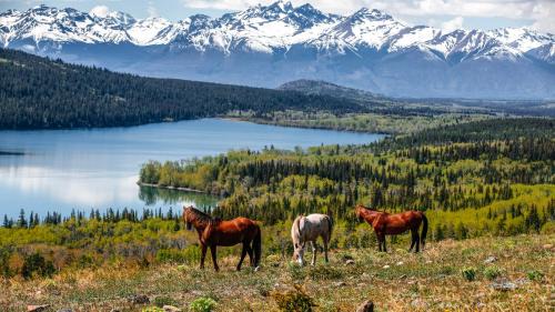 Nemaiah Valley Cabin | Nemiah Valley Lodge