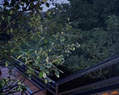 Dubova House | Nest House
