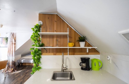 East Flushing Apartment | NEW!1000 sf Studio Loft! w/Access to an Outdoor Kitchen Patio & Rooftop Terrace