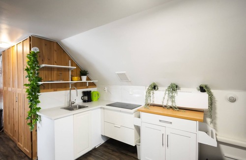 East Flushing Apartment | NEW!1000 sf Studio Loft! w/Access to an Outdoor Kitchen Patio & Rooftop Terrace