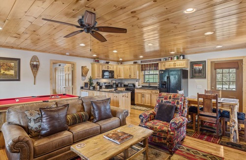 Wears Valley Cabin | New 1BR/1BA The Bear Stop Flat Paved Access Wears Valley Hot Tub WiFi Pool Table