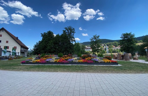 Baiersbronn Apartment | *NEW* 2 pers. I Nature.Peace.Recreation: BUGA/National Park