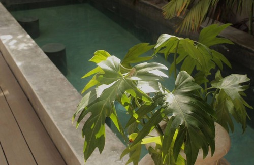 Tulum City Center Condo | NEW and HIP apartment - Quiet cozy hideaway