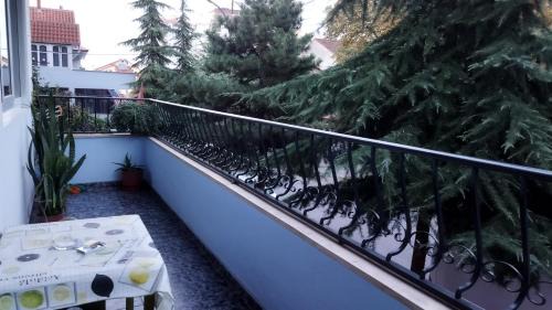Pogradec Apartment | New Apartament