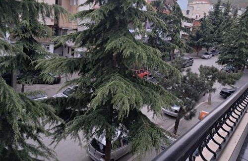 Pogradec Apartment | New Apartament