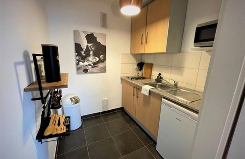 Zahringen Apartment | New Apartment City Freiburg Black Forest Europapark