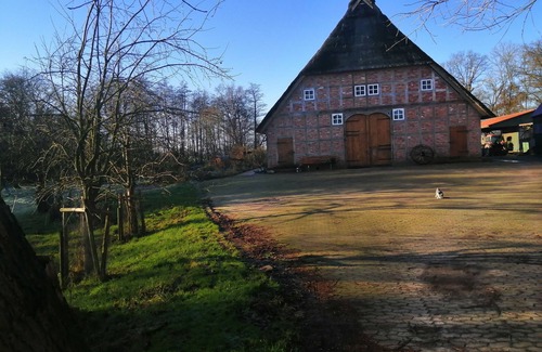 Ortsteil Ostendorf Apartment | NEW Camping barrel Milchschafhof