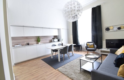 Nepszinhaz negyed Apartment | New central 5 bedroom 5 bathroom