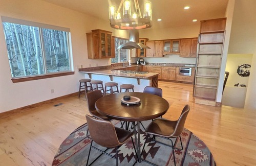 Conifer Mountain and Meadows House | NEW! Conifer Lodge-Secluded with Spectacular Views