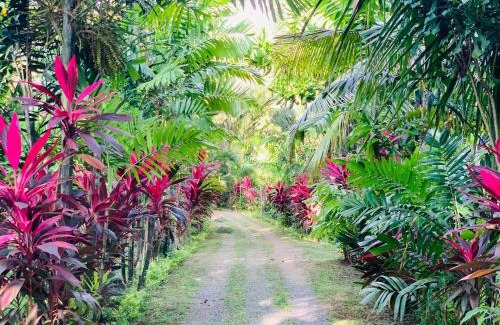 Kaduruduwa House | New Holiday Reach