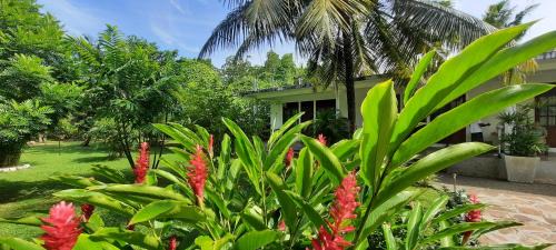 Kaduruduwa House | New Holiday Reach