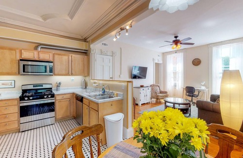 Troy Apartment | New kitchen & appliances, historic 2 bedroom Downtown Troy
