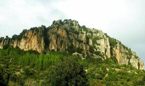 Seulo Apartment | New! La Ginestra,casa vacanze bifamiliare in montagna-Seulo Sardegna
