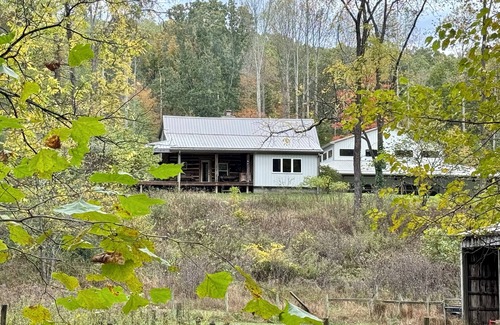 Helmsburg Cabin | New Listing: Charming cabin, great location.