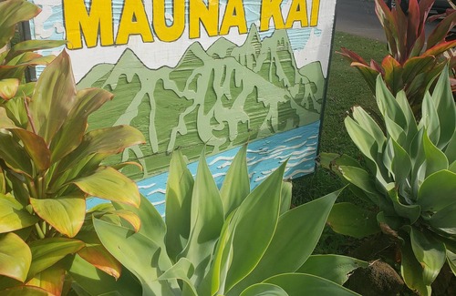 Kaiulani Condo | NEW LISTING - Coveted Princeville Resort COMFY private studio with AC -