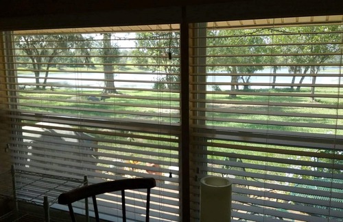 Dundee Apartment | New Listing! Lakefront one bedroom suite with private entrance.