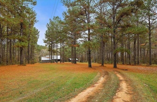 Crystal Springs Cabin | *New Listing Limited Time Price Special* Log Cabin retreat on 40 acres of pine forest